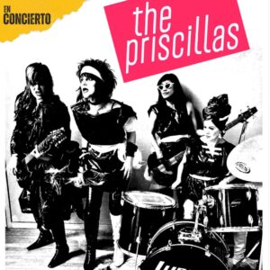priscillas-web25